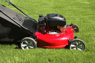 Mower, Strimmer, Brush Cutter, Shredder Hire in Faringdon, Swindon